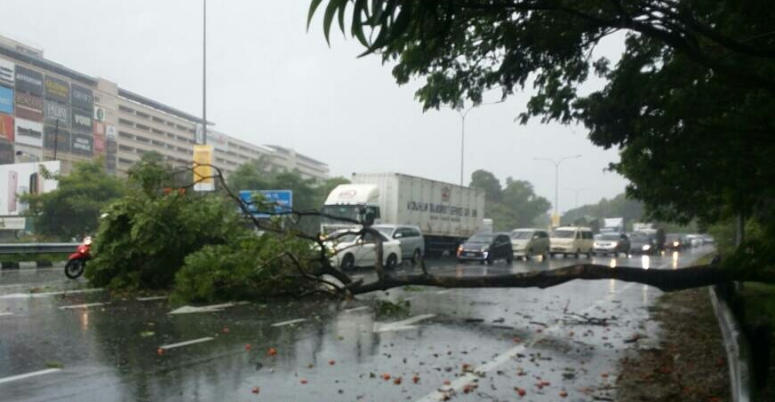 气象局发槟吉恶劣天气预警 槟岛4小时5宗树倒 地方 大北马 星洲网sin Chew Daily