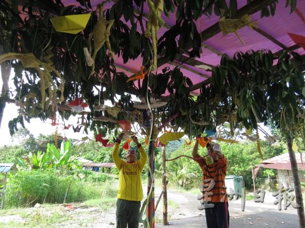 村民正在布置“生命树”，并在上面悬挂许多以棕榈树干雕刻、叶编及纸编而成的各种小饰物及小动物。