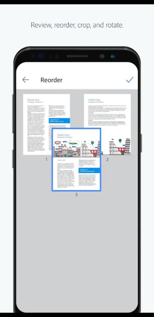 4184LMF20194111250202063996.jpg 4184LMF20194111250202063996.jpg