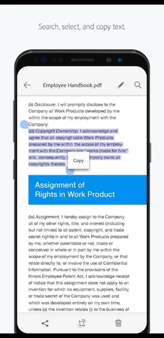 4184LMF20194111250192063993.jpg 4184LMF20194111250192063993.jpg