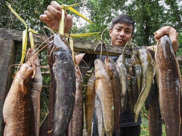 民众在水灾期间乐捕河鱼，趁机赚取额外收入。