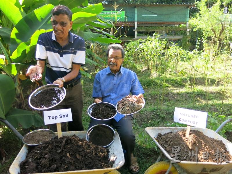 苏巴鲁（左）与莫希丁展示槟消协菜园内如何维持土壤健康与堆肥制作过程。