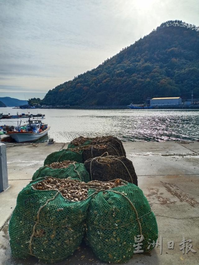 闲丽水道不仅是养殖牡蛎的产地，风景更是让人留连忘返。