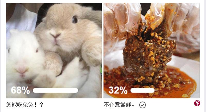 网路媒体“红蚂蚁”周四晚就网民愿不愿意尝试兔肉做了调查，只有32%表示愿意。（取自脸书） 