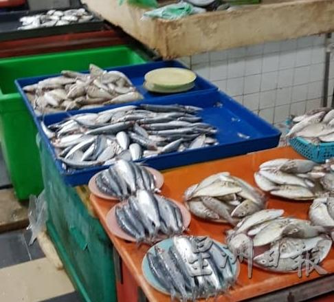 关丹大巴刹鱼档所售卖的鱼类不多且价格也涨价。（图：星洲日报）