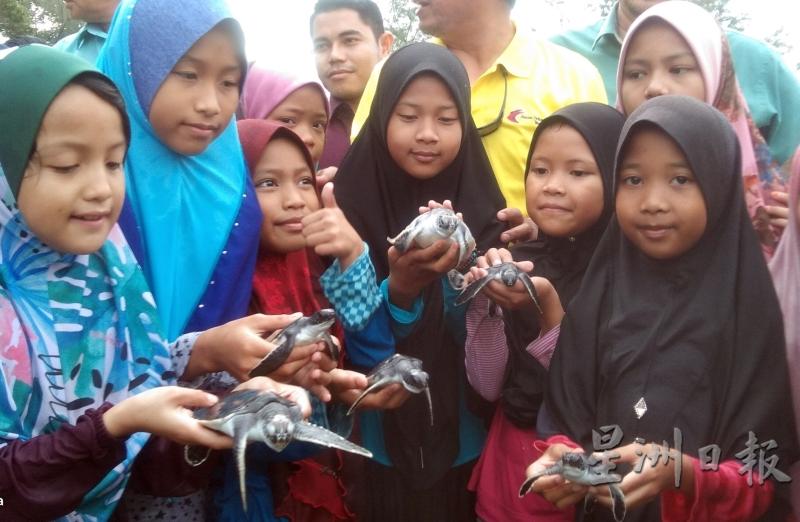 渔业局让孩子们体验放生海龟的乐趣。（图：星洲日报）