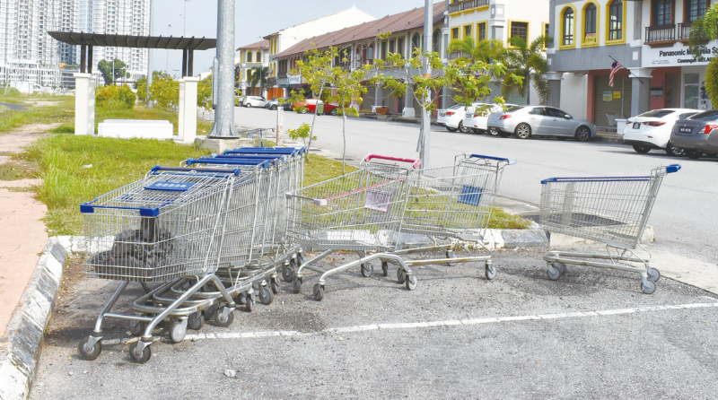 超市的推车被“遗弃”在传奇花园的河边休闲公园的停车位。 超市的推车被“遗弃”在传奇花园的河边休闲公园的停车位。