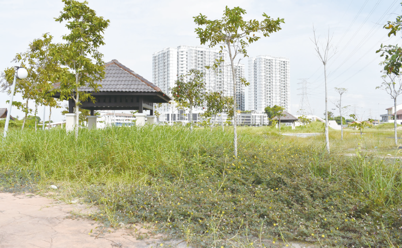 乏人管理的休闲公园,如今杂草丛生,凉亭显得很荒凉。 乏人管理的休闲公园,如今杂草丛生,凉亭显得很荒凉。