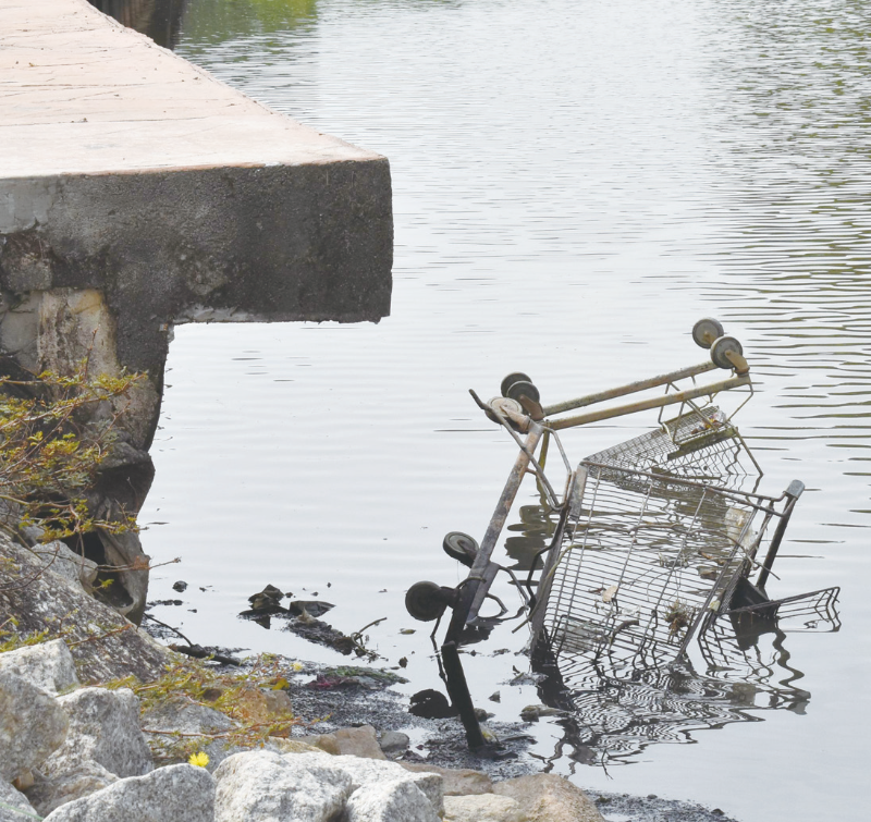 相信有人故意将堆放在停车位的其中一辆超市推车推入河。 相信有人故意将堆放在停车位的其中一辆超市推车推入河。