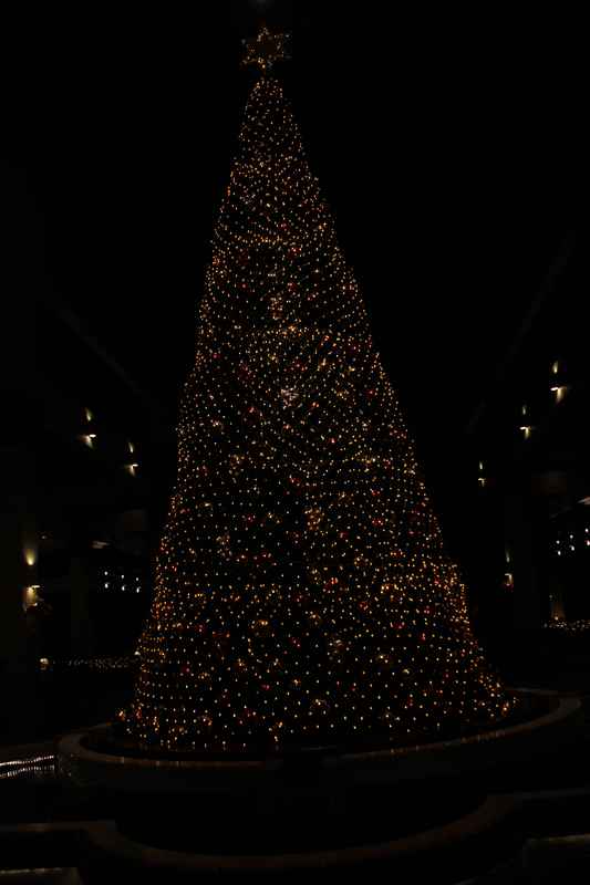 丝绸港湾度假村麦哲伦酒店在大堂设立的巨型圣诞树绽放璀丽的光芒，吸引不少民众拍照留念。