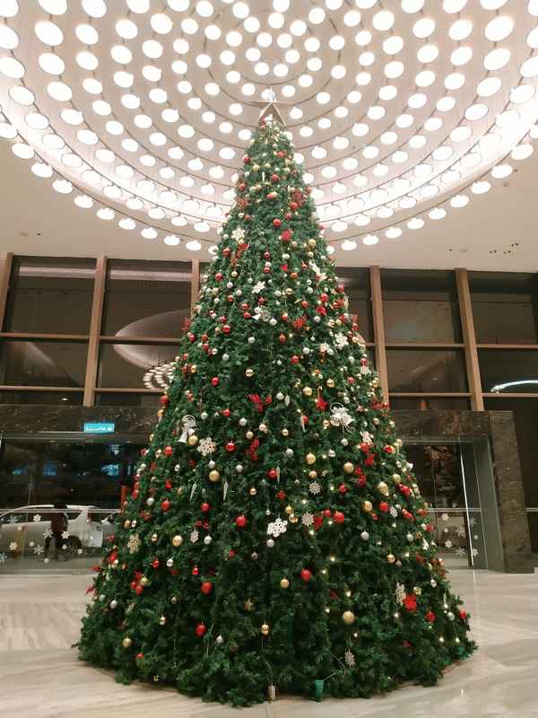 圣诞节跫音近，亚庇市大小酒店纷纷换上节日的盛装，有和蔼的圣诞老人、可爱的小雪人以及缤纷的圣诞树，充满圣诞气氛。图为亚庇万豪酒店（Marriot Hotel）在大堂设立缤纷的圣诞树迎宾。