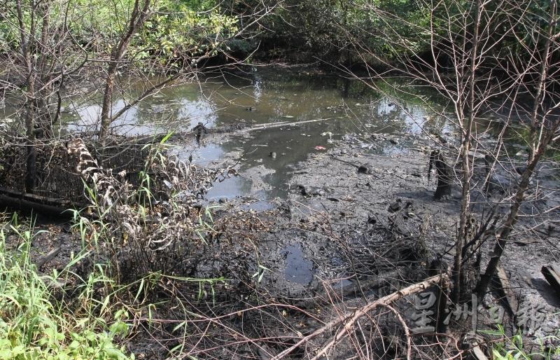 居民指自数月来有油槽车闯入班村咸水芭私人地倾倒化学废料后，邻近的奥河便一直散发著一股难闻异味。（档案照）