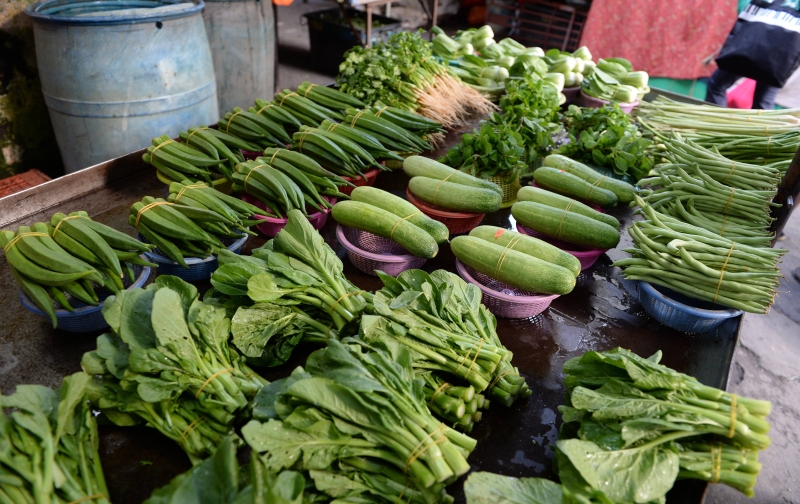 市场上的平芭菜的价格开始下跌，惟高原菜却相反地涨价。