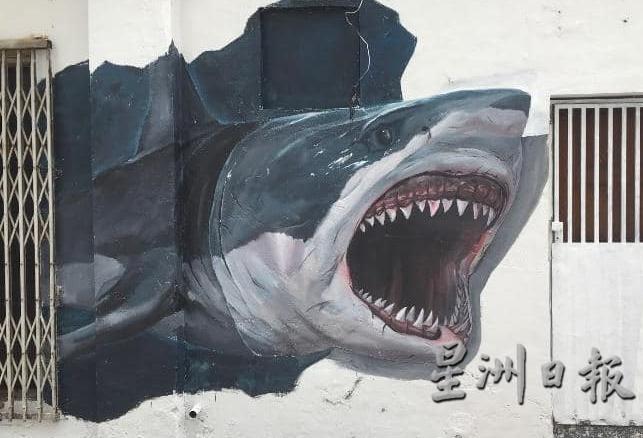 鲨鱼出没，小心！