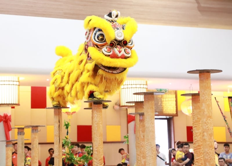 舞狮为华人传统文化活动，自2007年被纳入国家非物质文化遗产后，就取得蓬勃发展。