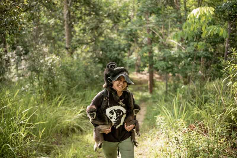 上学咯！……玛丽雅妮带着年幼长臂猿到彭亨一处的森林学校“上课”，让它们学习野外生存的技能。（Justin Mott/Kindred Guardians提供照片）