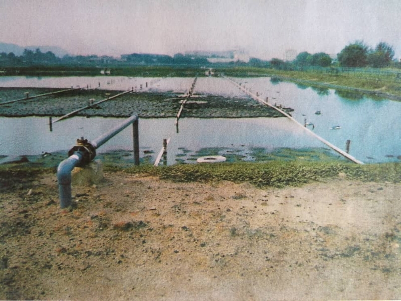 70年代，州政府建了3个污水过滤池给峇都茅新路猪农，协助猪农重新开业。