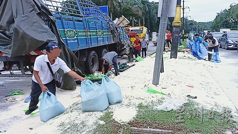 民众及米商将撒落地上的白米装入袋中。


