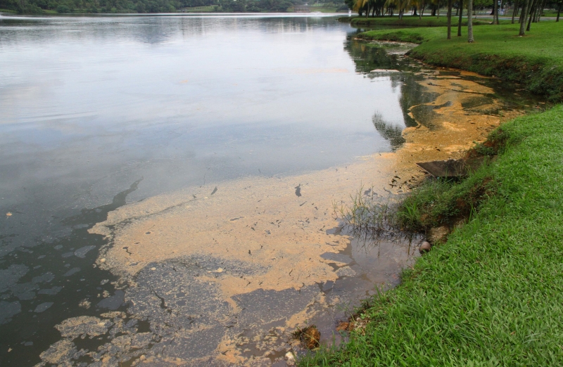 覆盖在湖面上的油迹面积越来越大，破坏湖泊原有的环境整洁。