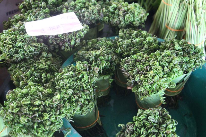 发展集中在农业的伦乐县也面对出口及销售问题,由于受到印尼边界种植业的打击,导致当地的蔬菜水果销量及没有价钱,进而影响农民的生活。
发展集中在农业的伦乐县也面对出口及销售问题,由于受到印尼边界种植业的打击,导致当地的蔬菜水果销量及没有价钱,进而影响农民的生活。