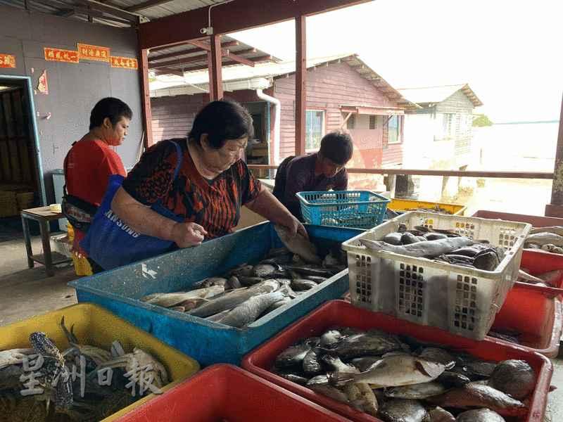 民众在森森水上屋海产摊位选购鲜鱼。 