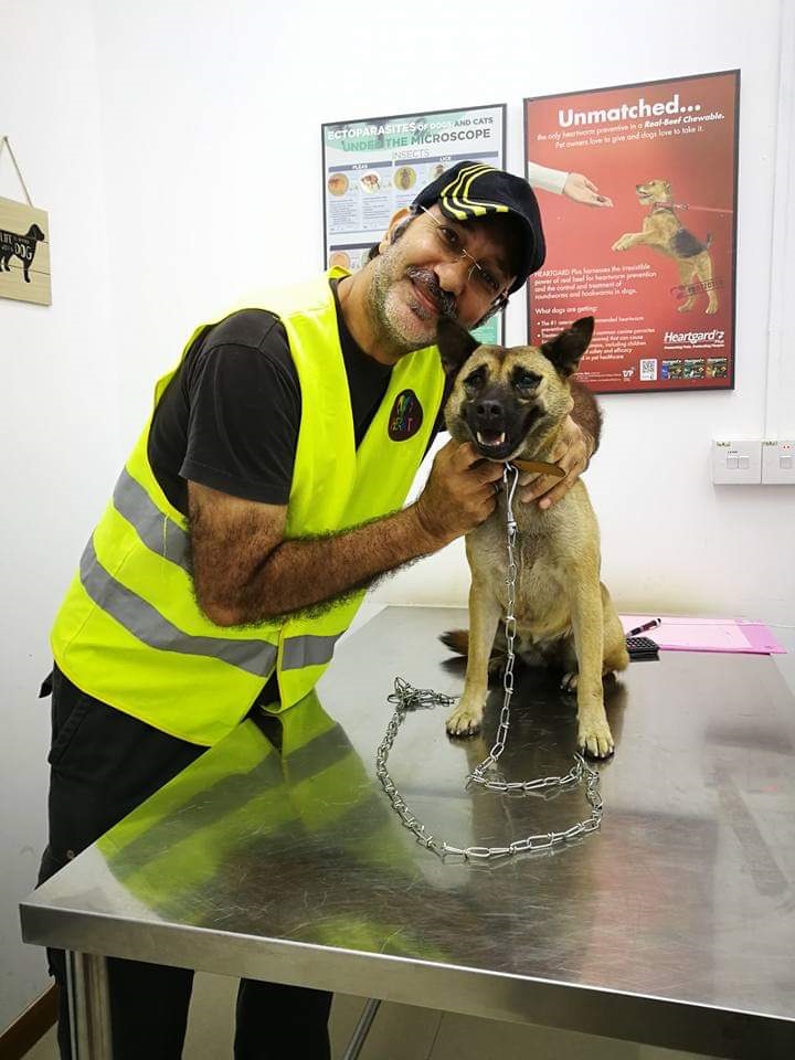 每次完成救狗任务，罗斯里都很有满足感。