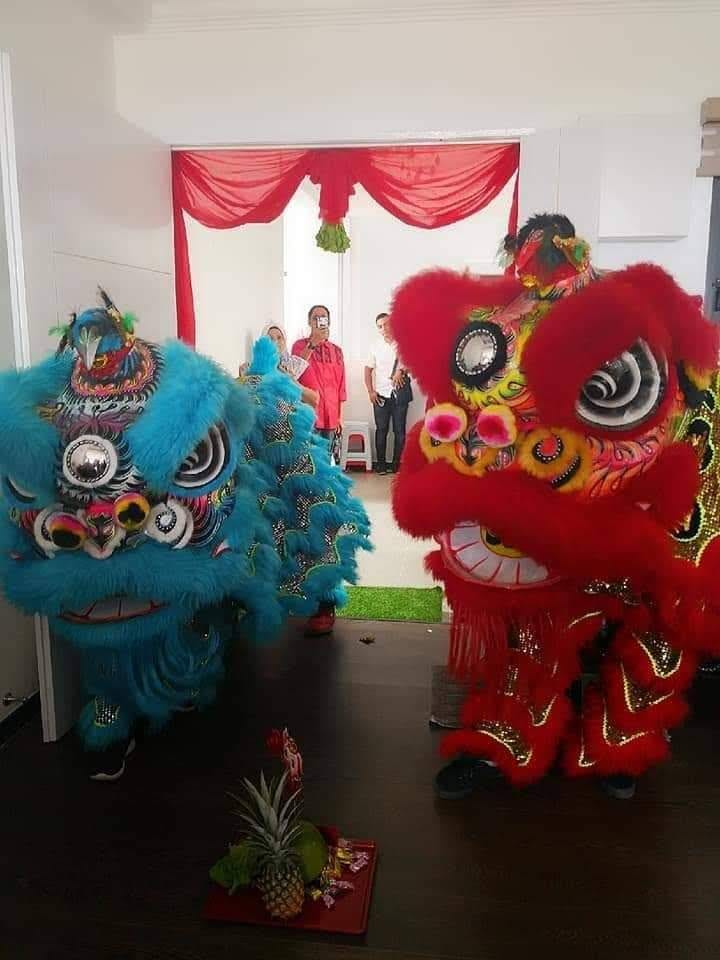 中华维新中学龙狮团在新春期间受邀上门采青，增添热闹气氛，带来吉祥好运。
