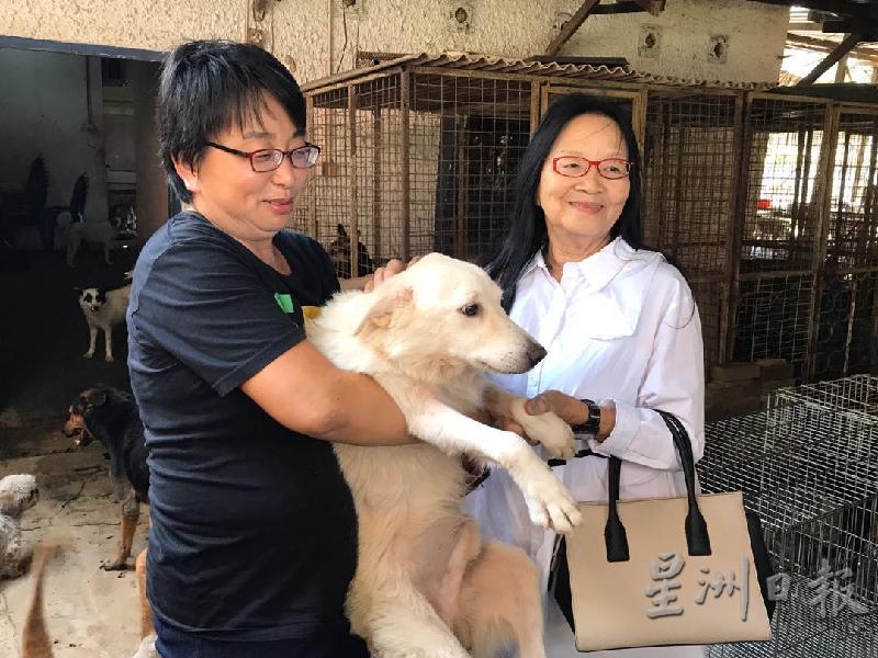 梁淑娟（左）呼吁各界人士踊跃响应马六甲防虐动物协会（SPCA）发动“一人一包猫狗粮运动”，让猫狗得以温饱，不会挨饿。右是江雪霞。