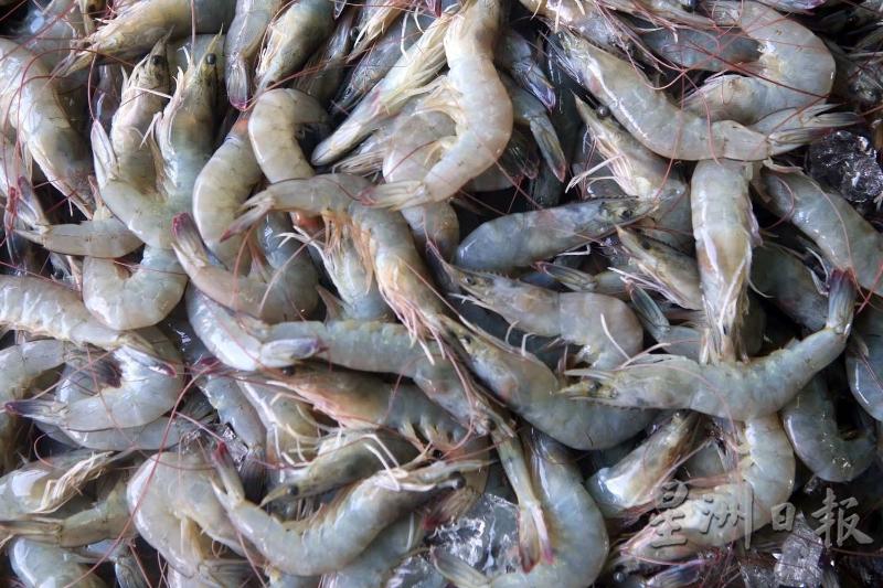 根据《星报》报道，我国市面上的虾可能含有硝基呋喃和氯霉素，可致癌的抗生素。（配图）
