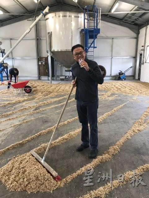 大麦铺在地板上发芽，发麦过程中需要定时翻搅麦粒。

