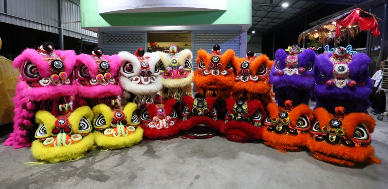 
威北甲抛峇底华人体育会正在筹备88头瑞狮大汇演。