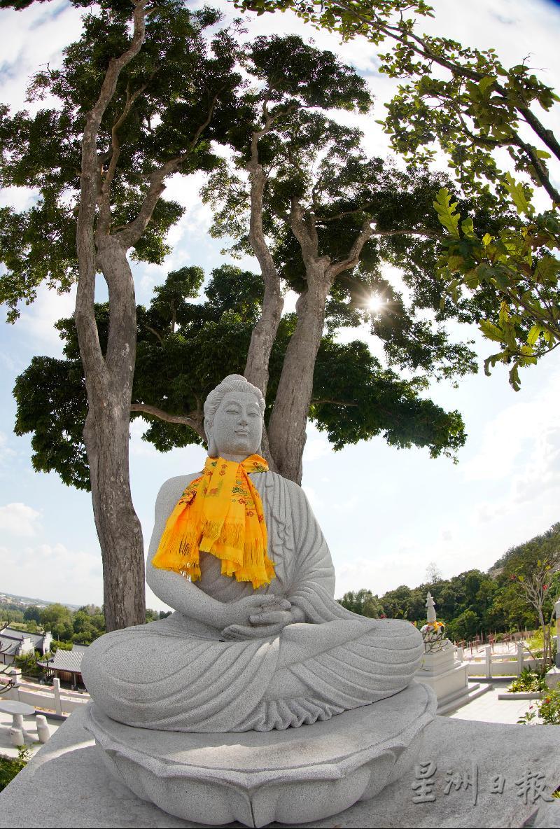 佛祖像依树而建高高竖立在一棵原始老树下，流露出端庄大气和庄严祥和之感。