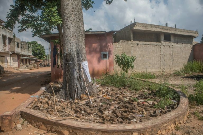 An iroko tree where people in Porto-Novo make offerings to Ogou, the god of metal. Photo courtesy: AFP