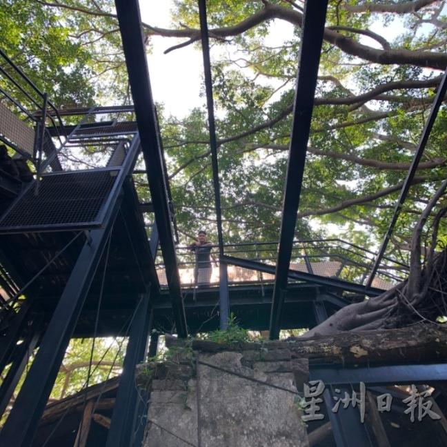 2004年在当时台南市长的推手下，安平树屋架上了黑色的上空铁栈桥与木栈道。

