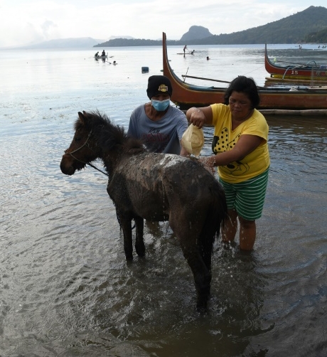 Taal's community had to flee without their prized ponies and most of their possessions when the volcano erupted. Photo courtesy: AFP