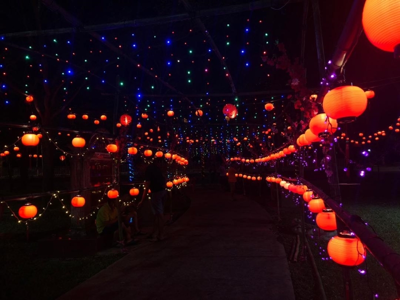 “竹福园”在夜里亮起灯来，呈现另一番面貌。