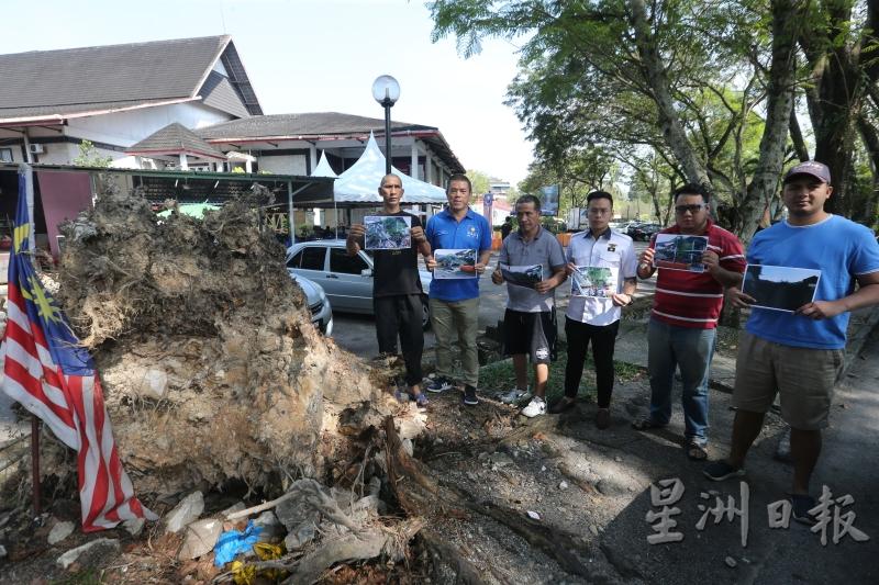 赵启兴（左二）吁请沙亚南市政厅关注沙亚南第六区摩登巴刹对面食肆的风灾问题，并定期前来修剪树木。左三起为罗斯里及郑光杰。

