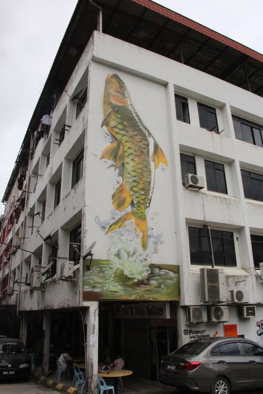 加帛巿镇建筑物被画上栩栩如生的“恩不佬”淡水鱼壁画，增添了有关建筑物的美感。