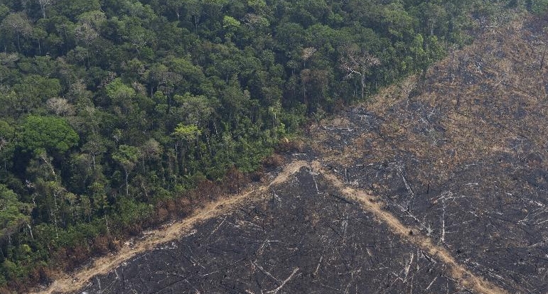 Deforestation in Brazil's Amazon was up 85% last year.