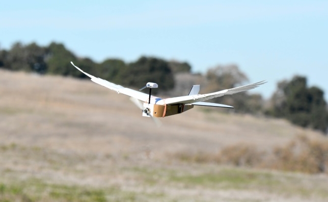 Stanford University researchers have studied the wings of common pigeon cadavers and used their findings to build a radio-controlled robot with wings made with 40 real feathers.