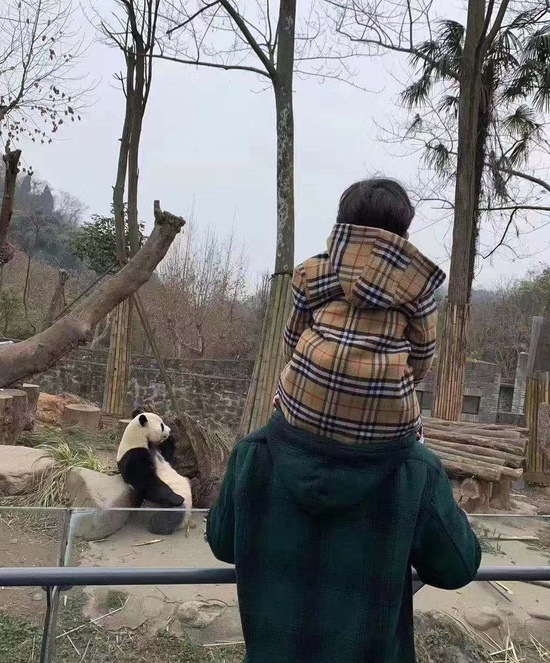 网民偶遇黄晓明带儿子小海绵去动物园，小海绵骑在爸爸脖子上好可爱。