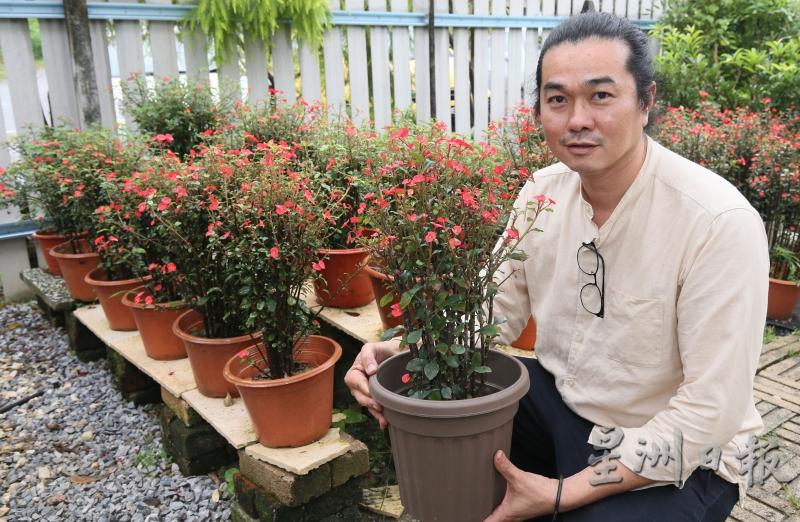 陈秋喜虽是陶艺世家出身，靠自修和行家指点，如今在园艺也有了一套自己的心得。

