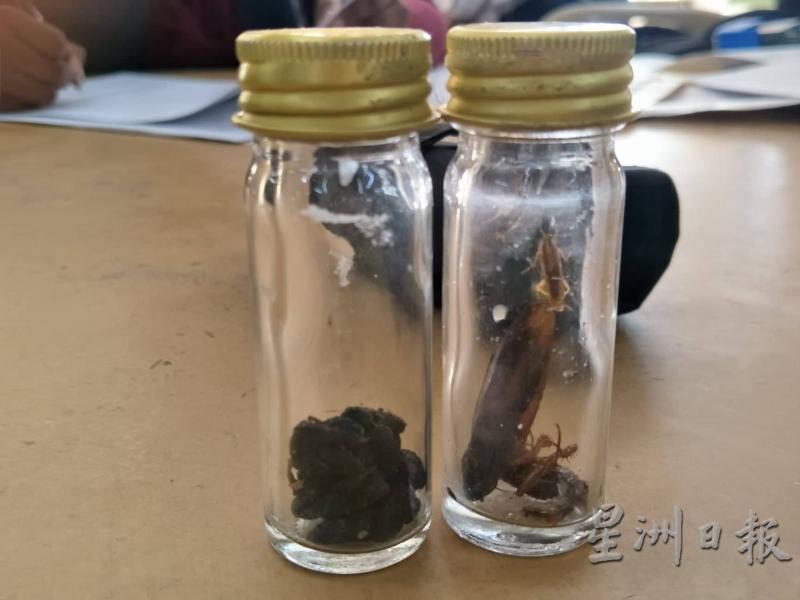 
装在罐子内的证据。左是老鼠屎，右是还在爬动的蟑螂。

