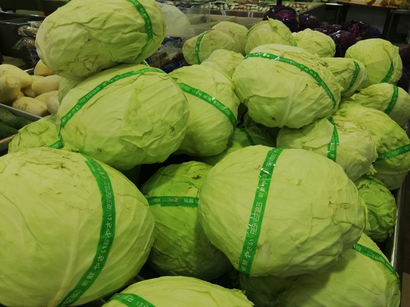 1公斤进口包菜的零售价为4令吉。
