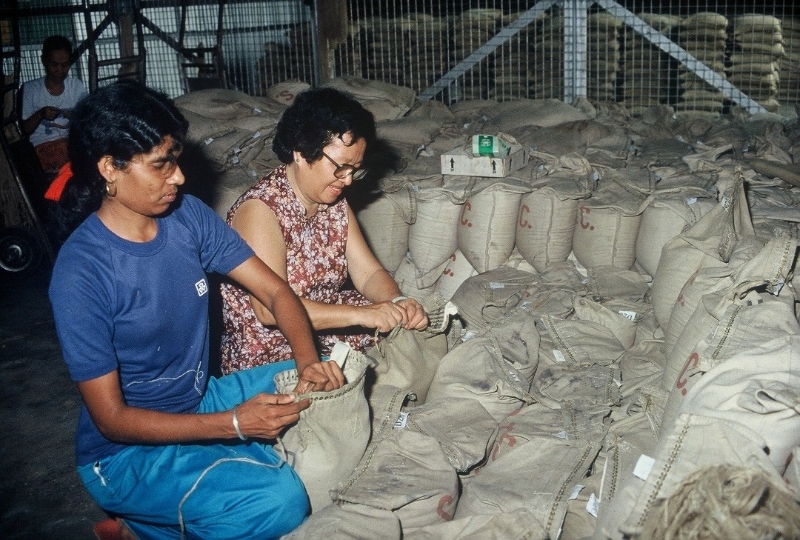 妇女们在乌冷里缝合锡米袋以运往熔锡厂，当时每包锡米袋重约30公斤。（图：受访者提供）