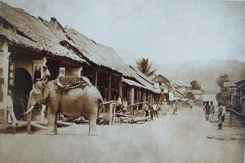 摄于1890年的甘文丁街道，当时人们仍利用大象作为代步工具。（图：受访者提供）