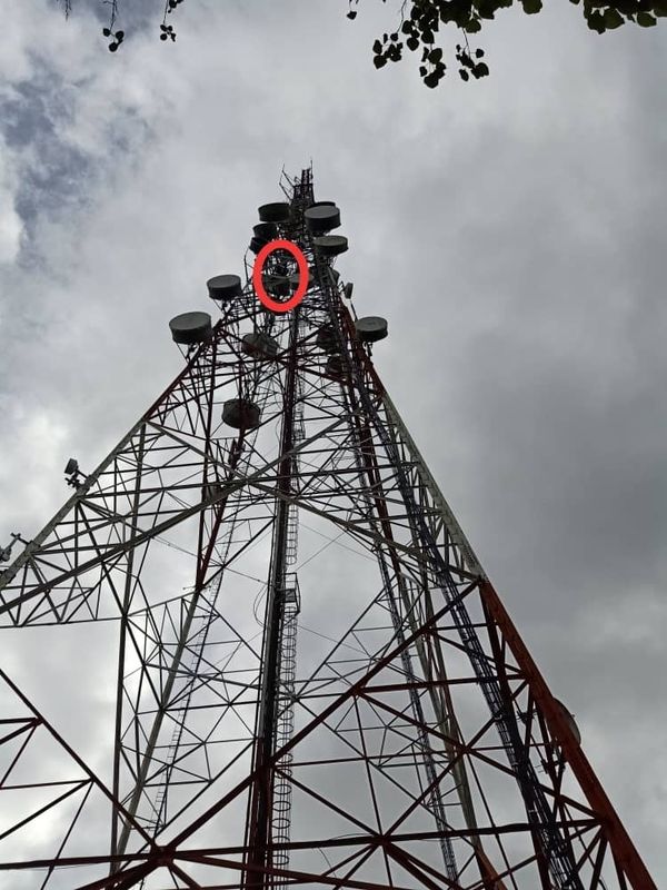 一名男子昨早爬上加拿逸孟玛罗山上的通讯塔