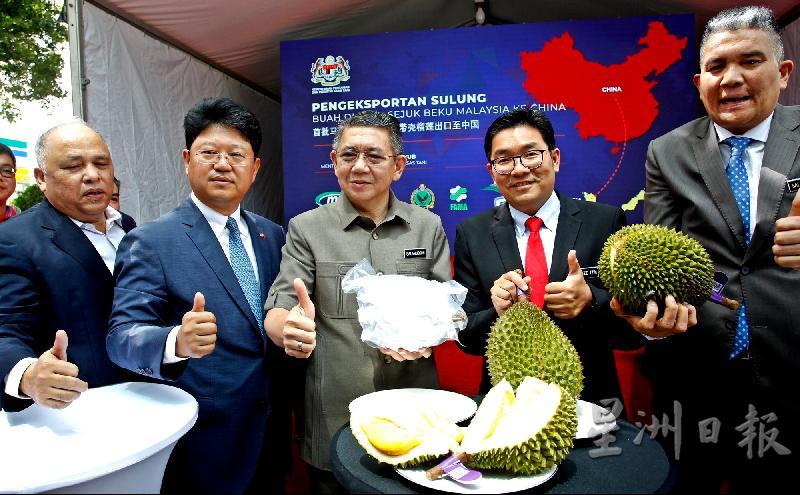 在中国驻马大使馆和马来西亚政府的努力下，首批马来西亚冷冻带壳猫山王去年成功出口至中国。