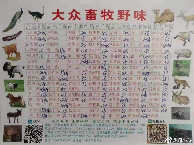 微博流传的一张“野味价目表”显示，地址位于武汉市汉口火车站华南海鲜市场东区的“大众畜牧野味”商户，曾售卖各种类别的活野生动物，包括孔雀、蝎子、狐狸、果子狸、梅花鹿、狼仔、鳄鱼、鸿雁、竹鼠等等，大部份明码标价，且配有动物图片。（图：网络照）