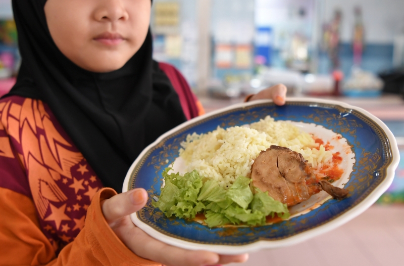 教育部免费食物补助改善计划推行的第一天，登嘉楼马兰的Jerong国小一名4年级学生诺卡丽莎向记者展示一盘鸡饭，这是该计划所制定的20份餐点中的其中一道。
